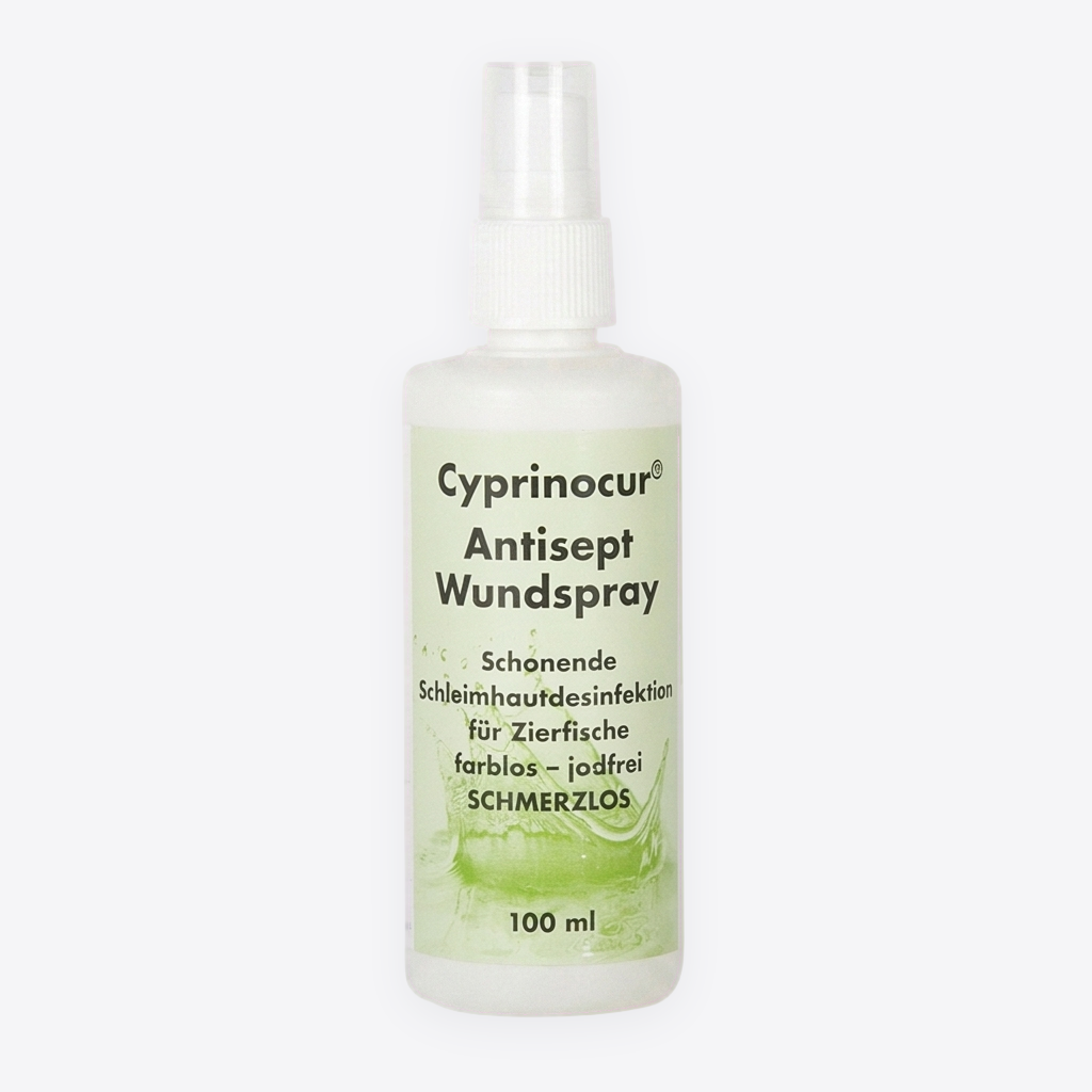 Cyprinocur Antisept 100ml