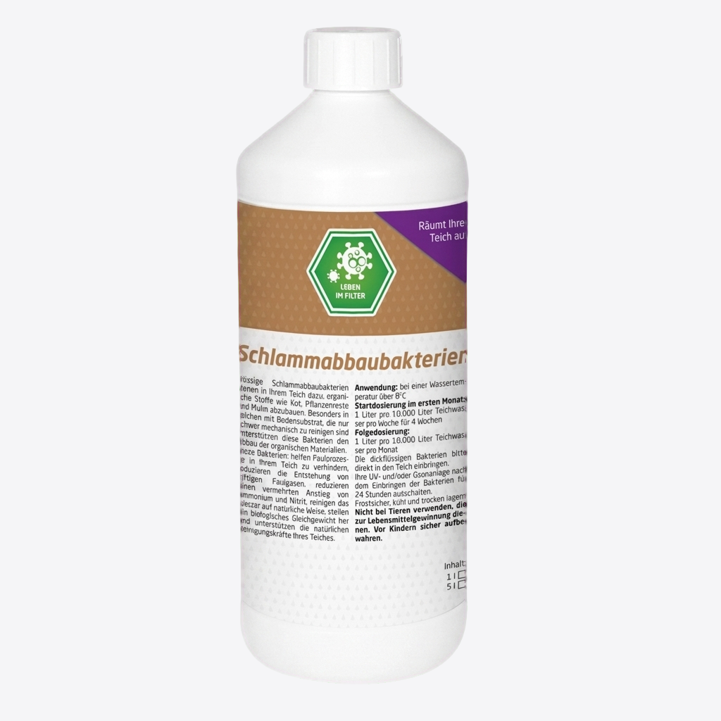 Schlammabbau Bakterien
