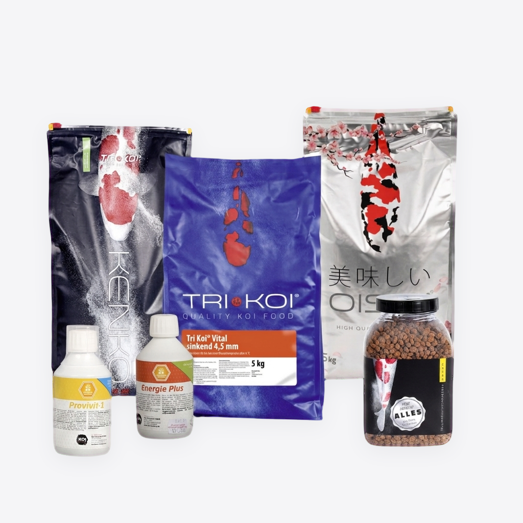 Koifutter Set: Gesund + Vital groß