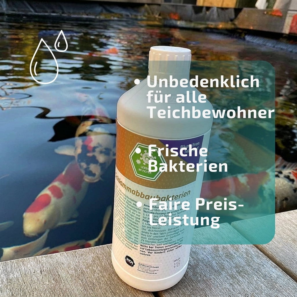 Schlammabbau Bakterien