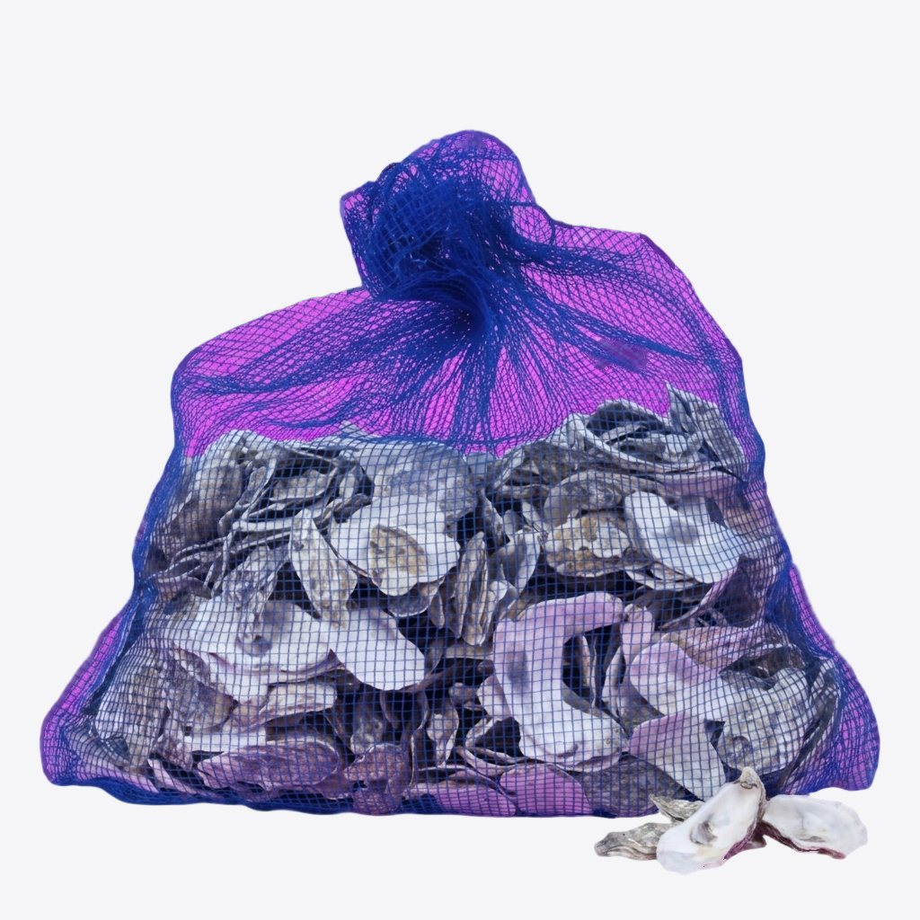 Japanische Austernschalen 5kg