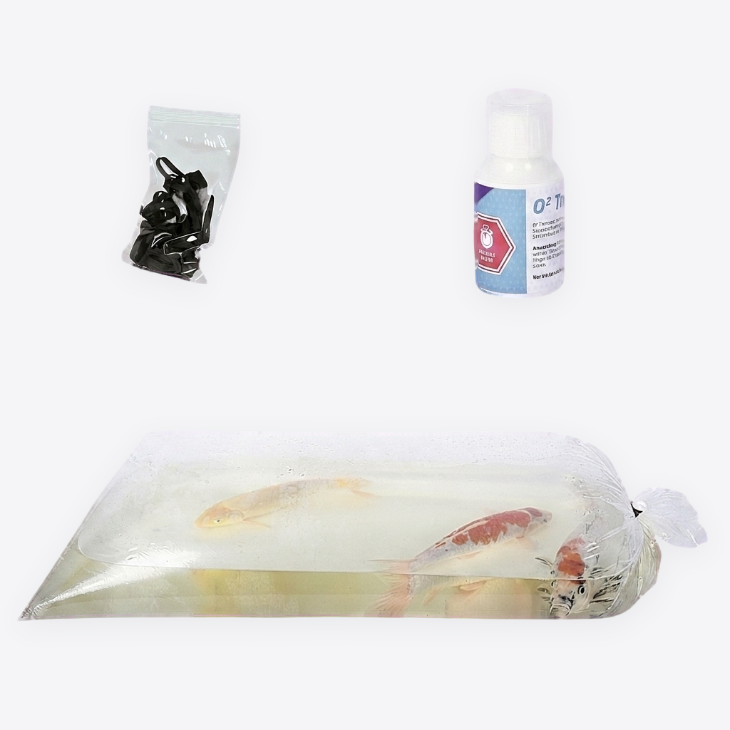 Transport-Set: Transporttüten, Gummiringe und O²