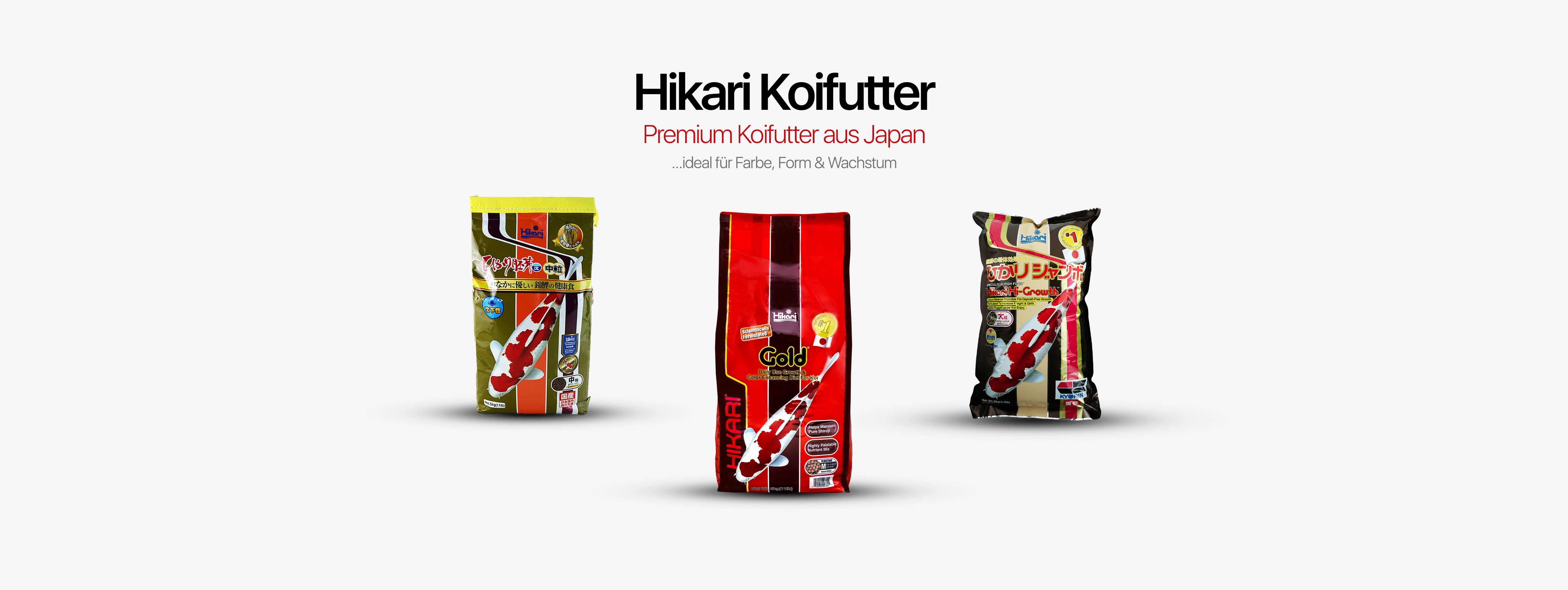 banner_hikari_koifutter