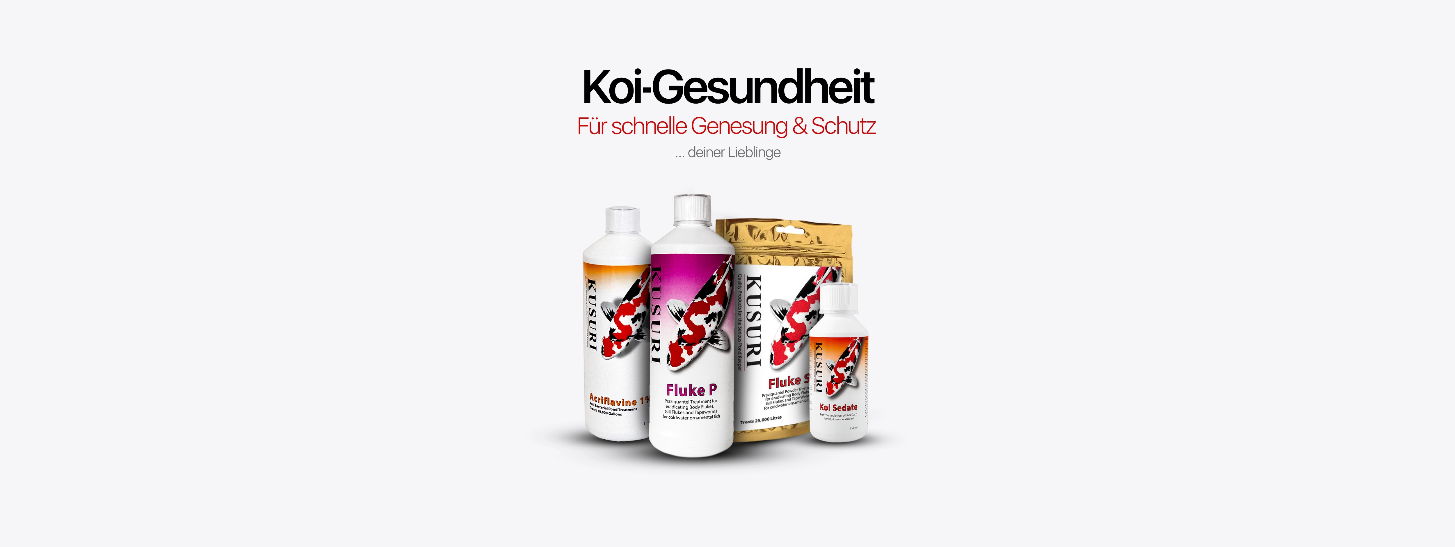 banner_koi-gesundheit