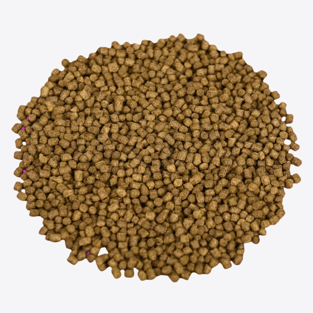 Koi Aqua Power Food 3,0mm - sinkend