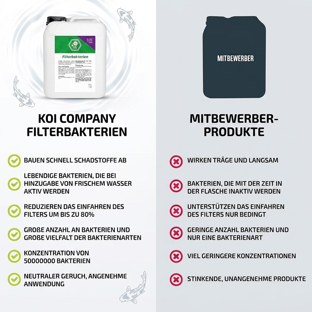 Filterbakterien