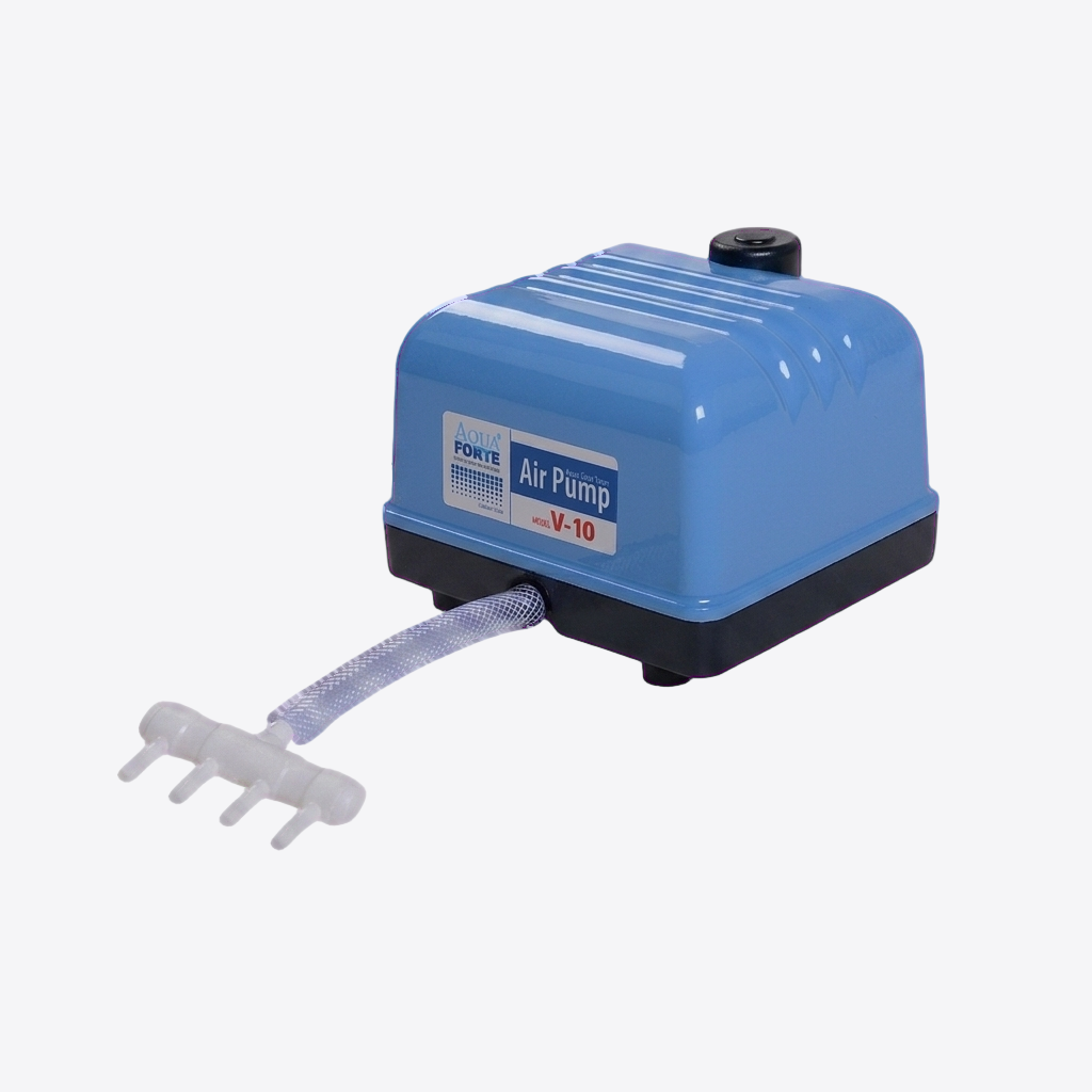 AquaForte Flow V-10 Luftpumpe
