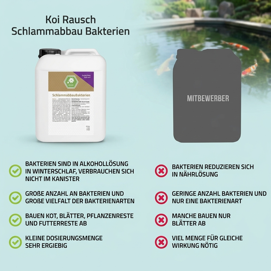 Schlammabbau Bakterien