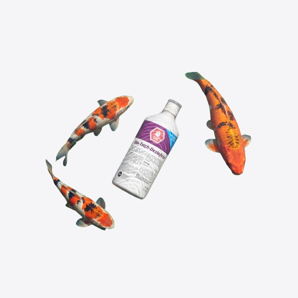 Bio-Teichdesinfekt