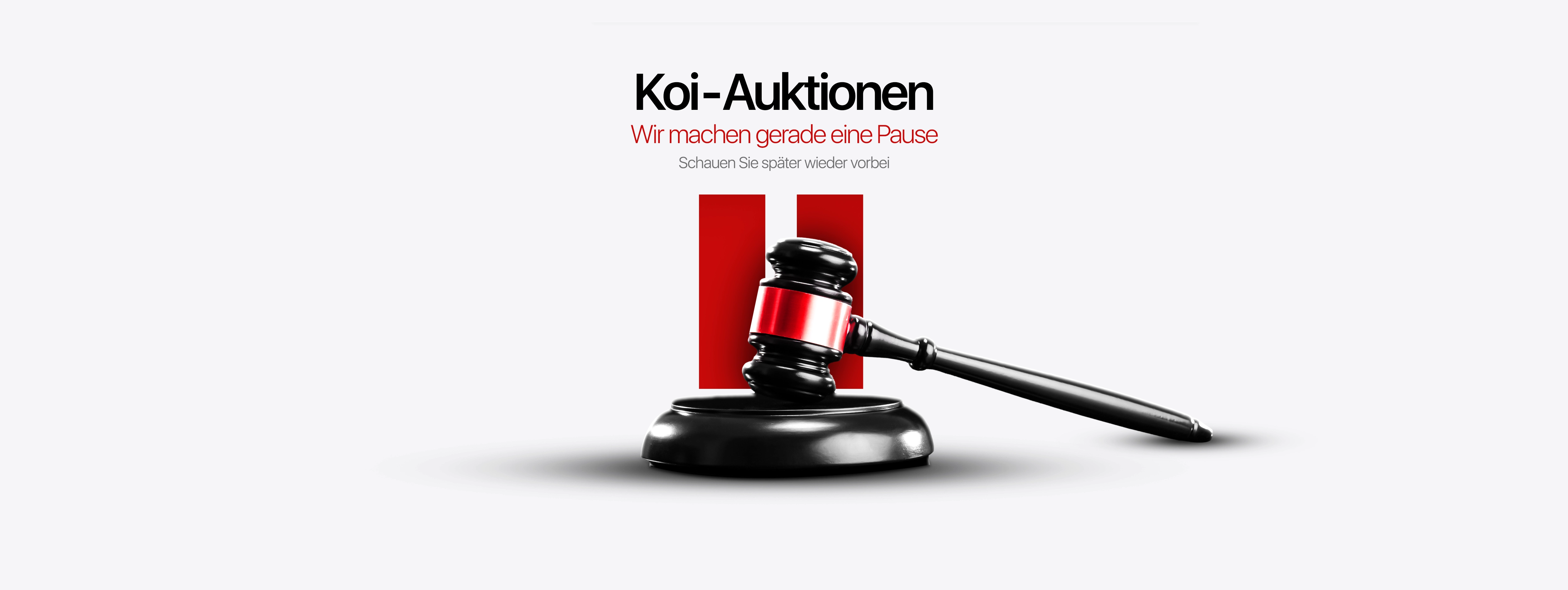 banner_auktionen_pause